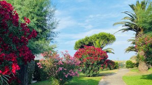 A paved pathway in a landscaped garden with various flowering plants and trees.