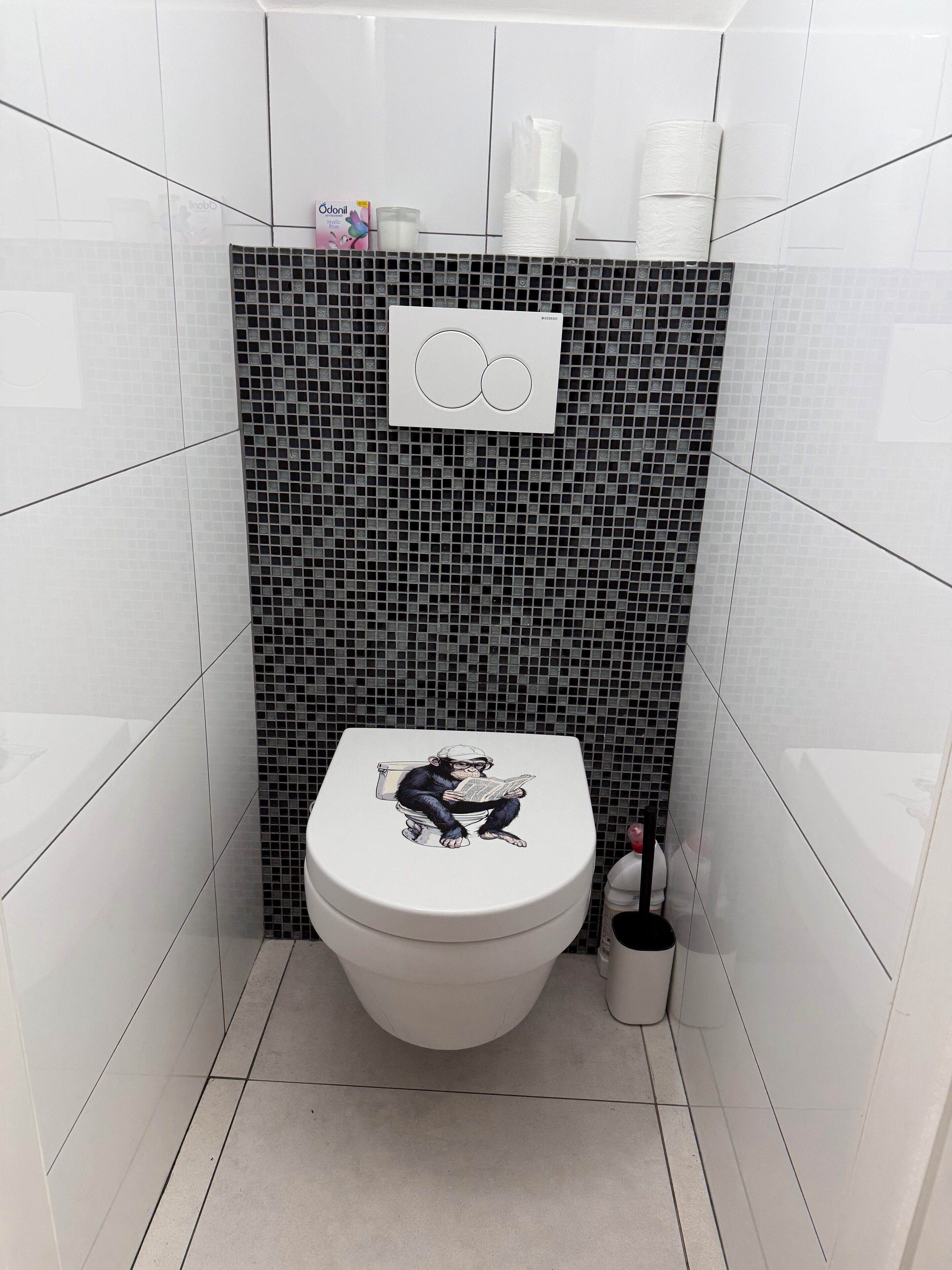 Een badkamer met een toilet, een zwart-wit mozaïekwand en een witte toiletrolhouder.