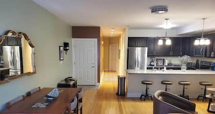 Large New 3 br 2.5 ba townhouse in historic Albany neighborhood. Free parking.⁹