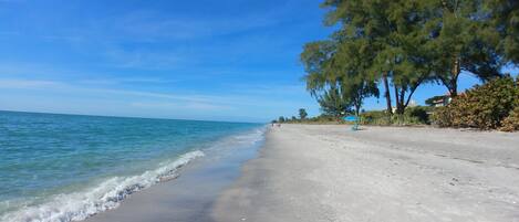 Camastros y toallas de playa