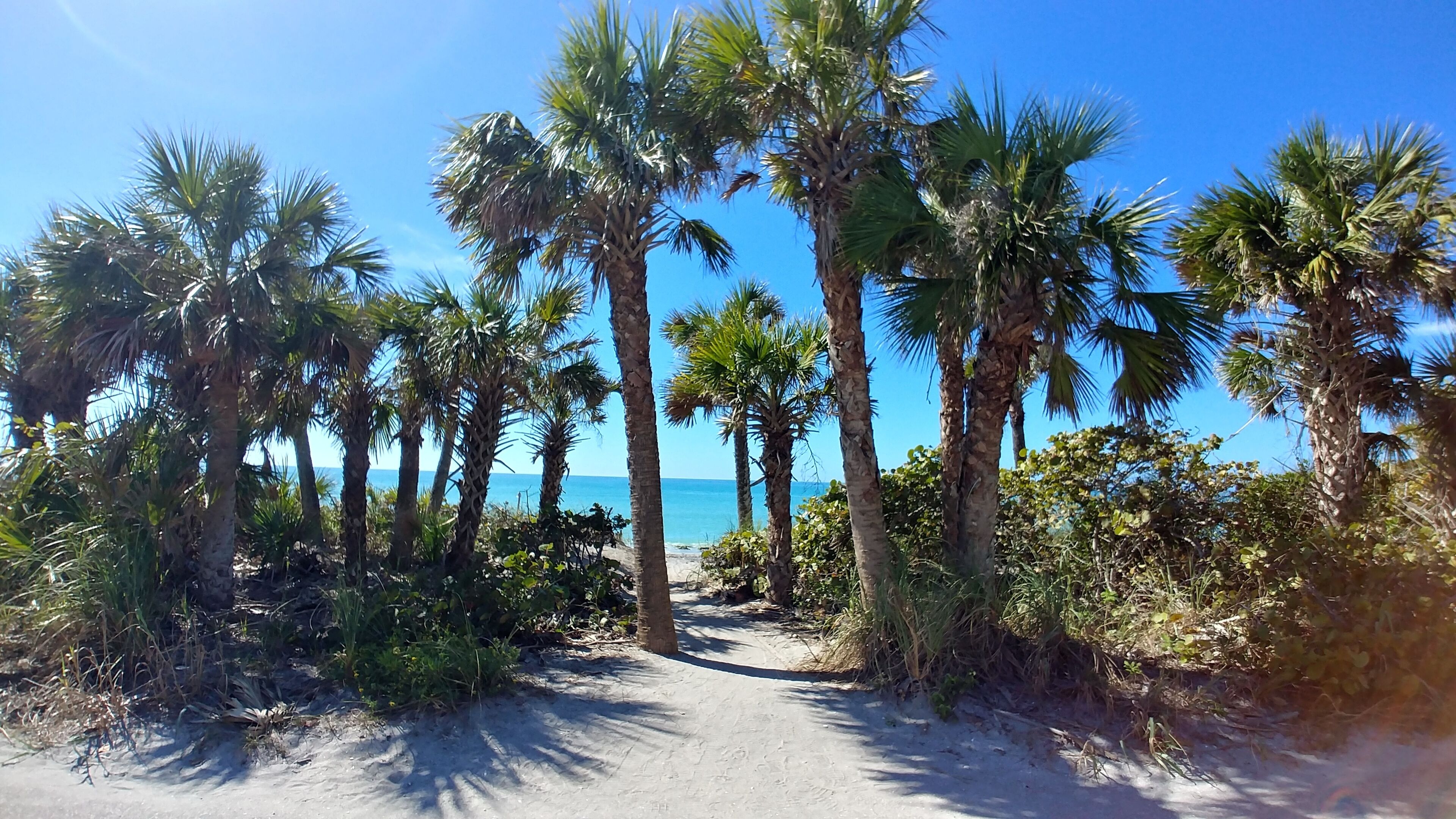 Espreguiçadeiras, toalhas de praia 