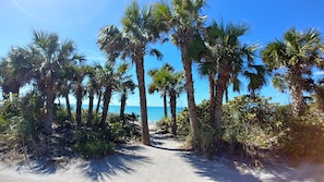 Een zandpad, omzoomd door palmbomen, dat naar een strand leidt.