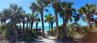 Pool & Beach – Shark Teeth Hunting – Families welcome – Pool Heater included!