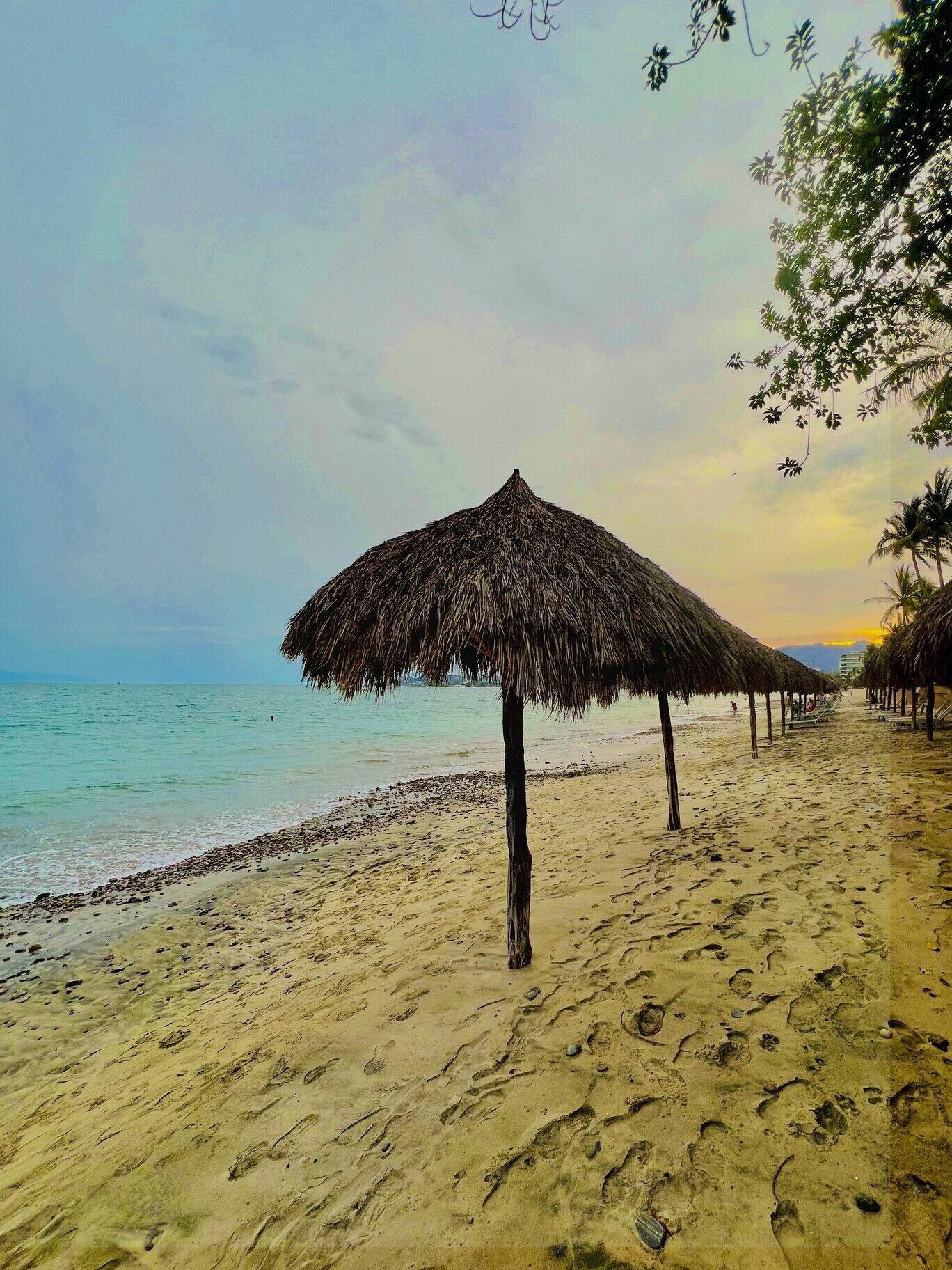 Une plage avec des parasols en chaume et des palmiers.
