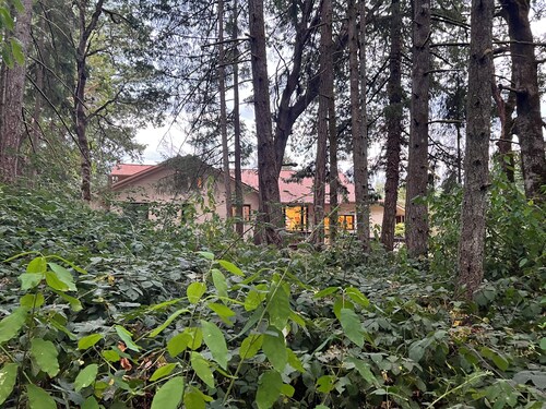 Remodeled basement in Corvallis, surrounded by forest and trails!