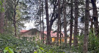 Remodeled basement in Corvallis, surrounded by forest and trails!