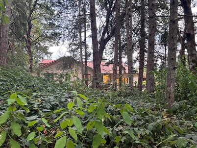 Remodeled basement in Corvallis, surrounded by forest and trails!