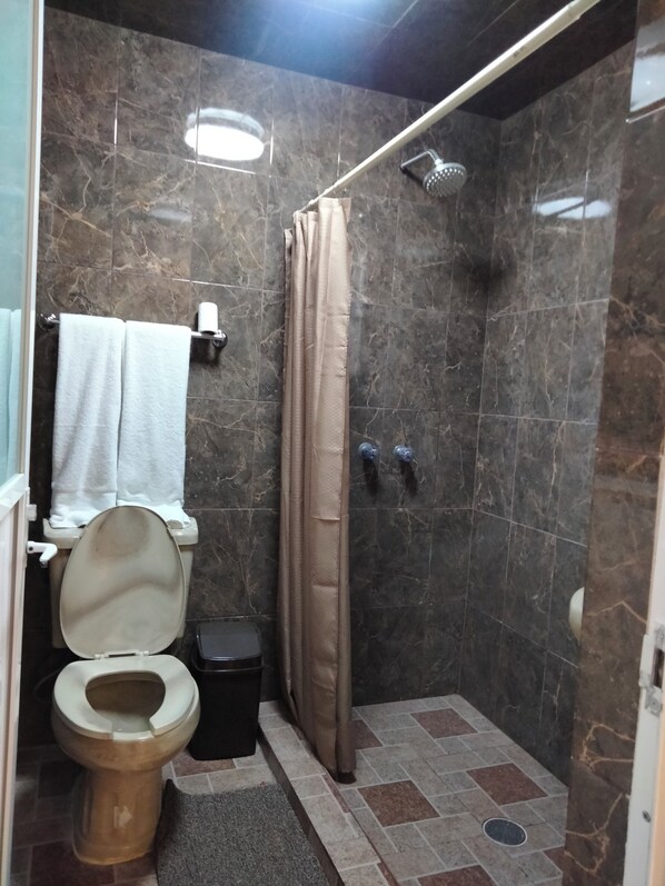 A bathroom with a toilet, shower, and a tiled floor.