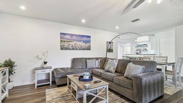 TV connectée, cheminée, table de tennis de table, livres