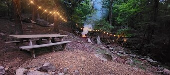 Beautiful mountainside hobby farm with gorgeous view!