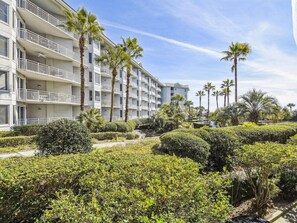 Exterior - MyStay at 1102 Sea Crest - Sea Crest Resort Oceanfront Complex | Steps to Beach (Hilton Head Island)
