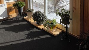 Una habitación con paredes de madera y ventanas amplias, que incluye un tapete negro, varias plantas en macetas y un radiador blanco.