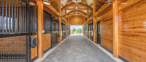 Terrein van de accommodatie