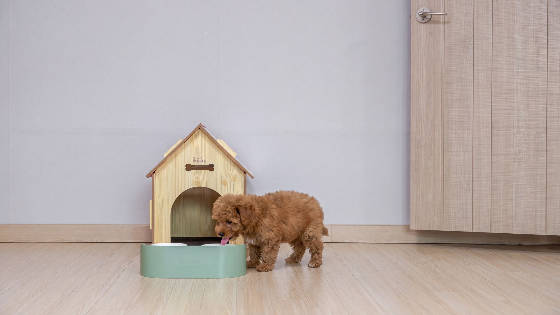 A small wooden dog house with a dog standing in front of it.