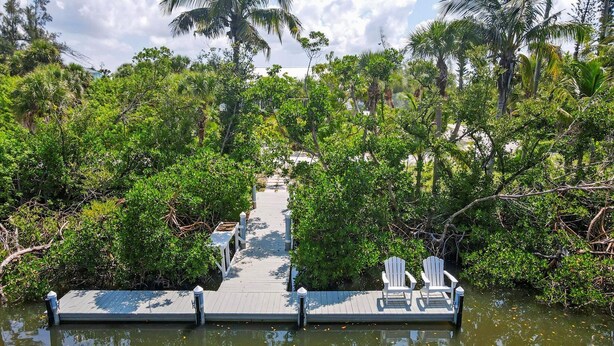 A wooden dock extending into a body of water, surrounded by dense greenery and palm trees.