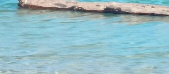 Cottage by the sea in a typical village