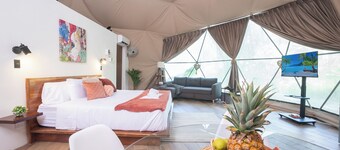 Cockatoo | Unique Dome with pool, near Beach, Isla Tortuga & Bioluminescence!