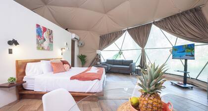 Cockatoo | Unique Dome with pool, near Beach, Isla Tortuga & Bioluminescence!