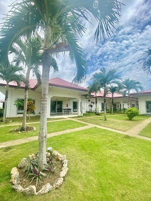 Deluxe Double Room, Multiple Beds, Balcony, Pool View - Green Mango Resort (Panglao)