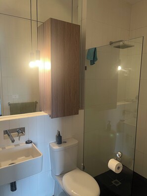 Regadera, toallas, jabón, papel de baño 