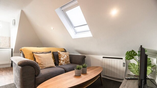 Een moderne woonkamer met een schuine plafond, een grijze bank met kussens, een houten salontafel, een radiator en een plant.