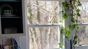 Eine Küche mit Granitarbeitsplatte, Geschirrspüler und einem Fenster mit Blick auf Bäume.