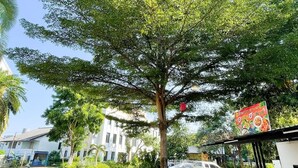 A tree-lined street with a restaurant featuring outdoor seating. - Tamnak Lanta at Chiang Mai (Chiang Mai)
