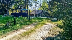 A dirt path leading to a rustic cabin with a green roof, surrounded by dense forest.