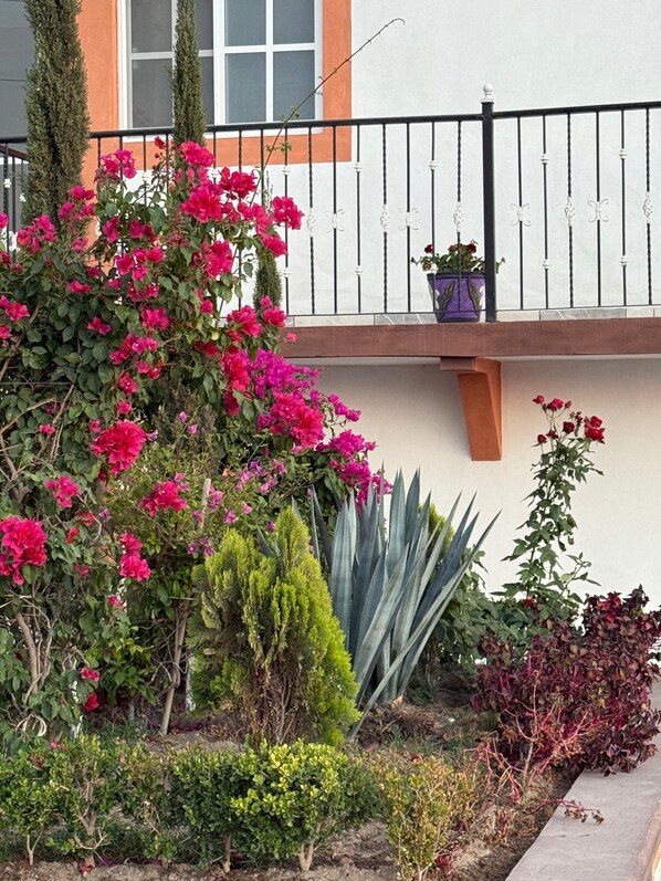 Exterior - Hotel la Concha (San José Iturbide)