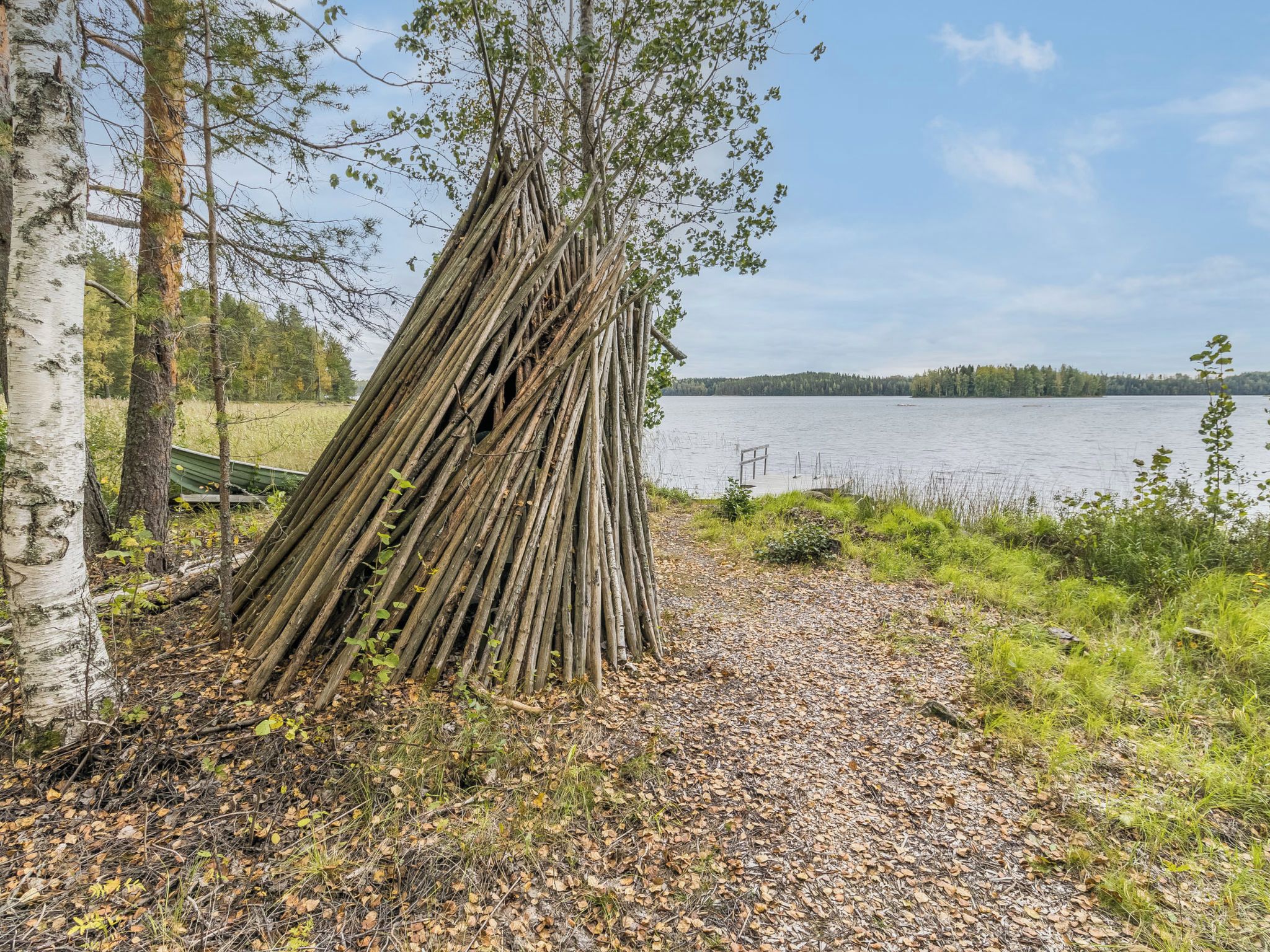 Luonnonmaisema, jossa on kasa tukkeja, vesialue ja metsäinen alue.