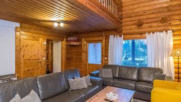 Televisio, DVD-soitin