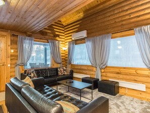 Télévision, cheminée, lecteur de DVD