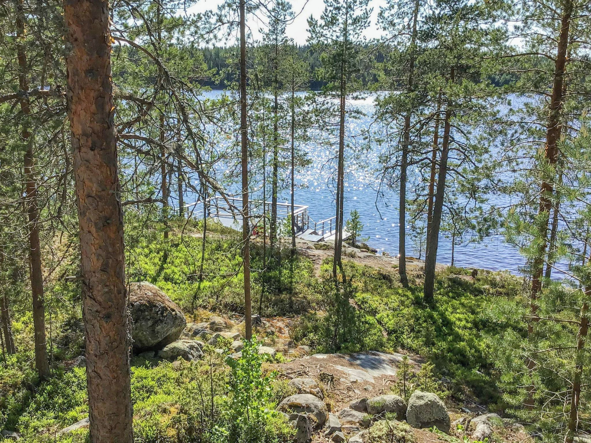 A natural landscape with a lake, dense trees, and a dock extending into the water.