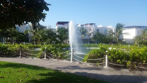 Un parque con una fuente, vegetación y edificios al fondo.