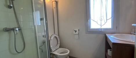 A bathroom with a glass shower enclosure, a toilet, a window with bars, and a sink.