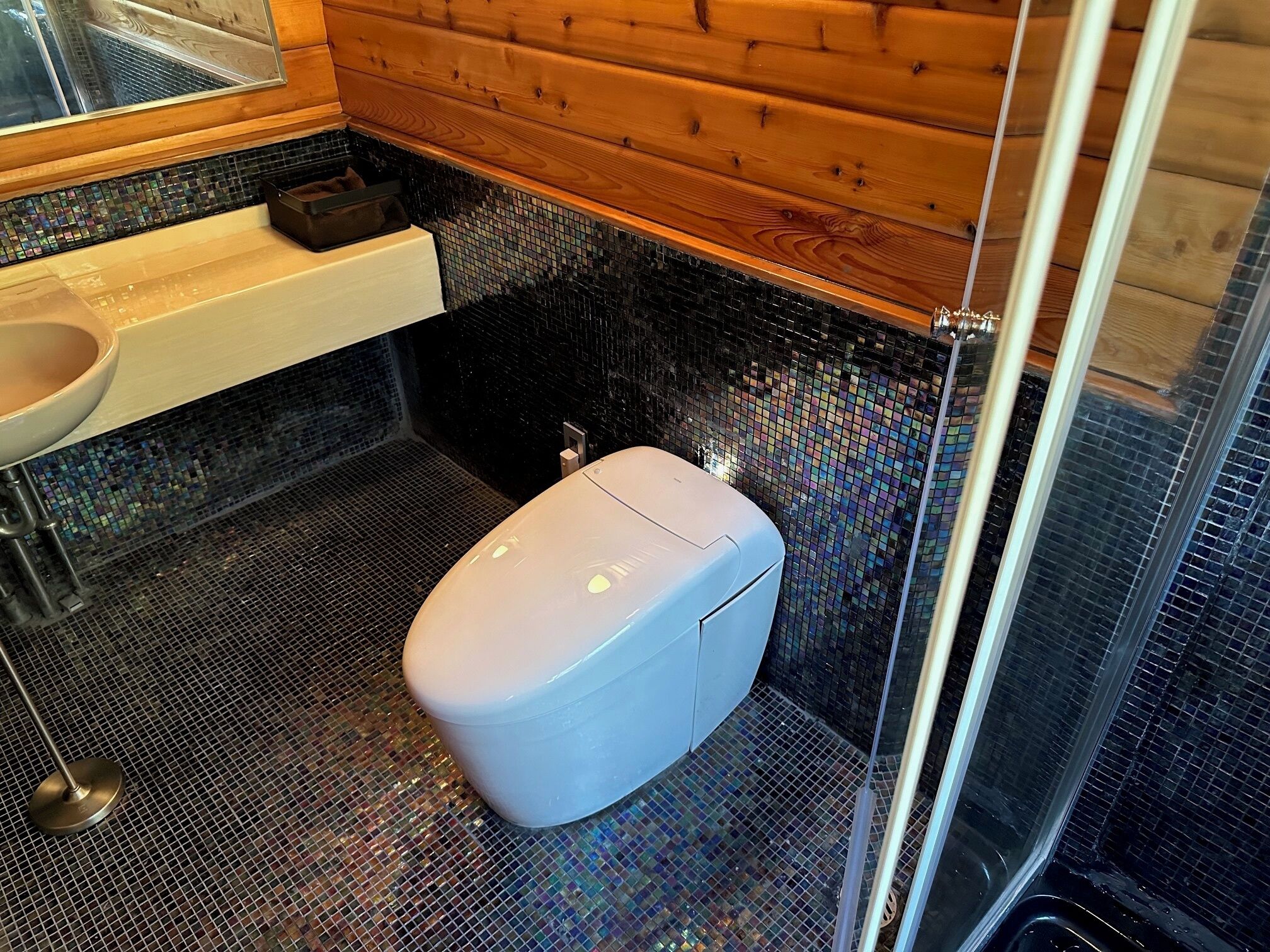 A bathroom with a mosaic-tiled floor, a white toilet, and a wooden wall.
