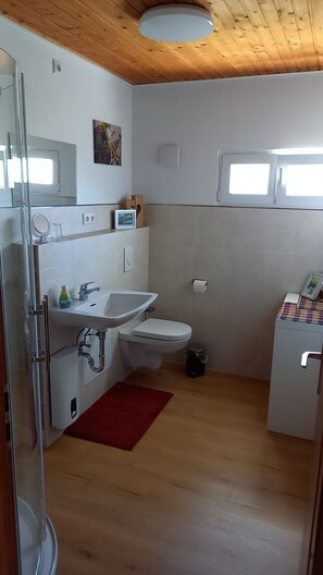 淋浴设施、吹风机、毛巾、肥皂