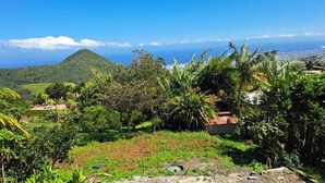 A lush landscape with a hill, palm trees, and a small building.