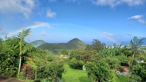A lush garden with a variety of tropical plants and a view of a mountain in the distance.