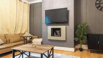 TV, fireplace, books