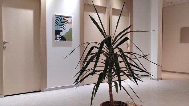 Un interior moderno con una planta en maceta sobre una alfombra estampada, una puerta y un equipo de aire acondicionado.