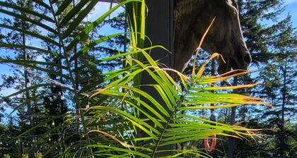 Double D Ranch Guest House