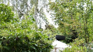 A garden with various plants and flowers, a building with a white facade, and a black object on the roof.