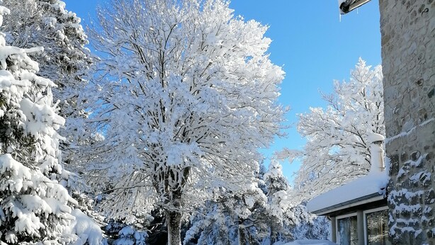 A snow-covered landscape with trees and a stone building. - Group gîte with single rooms, no dormitories, in the heart of nature. (Le Chambon-sur-Lignon)