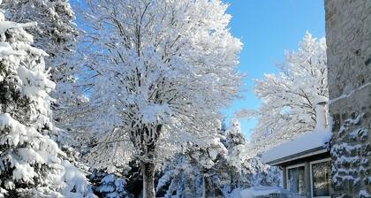 Group gîte with single rooms, no dormitories, in the heart of nature.