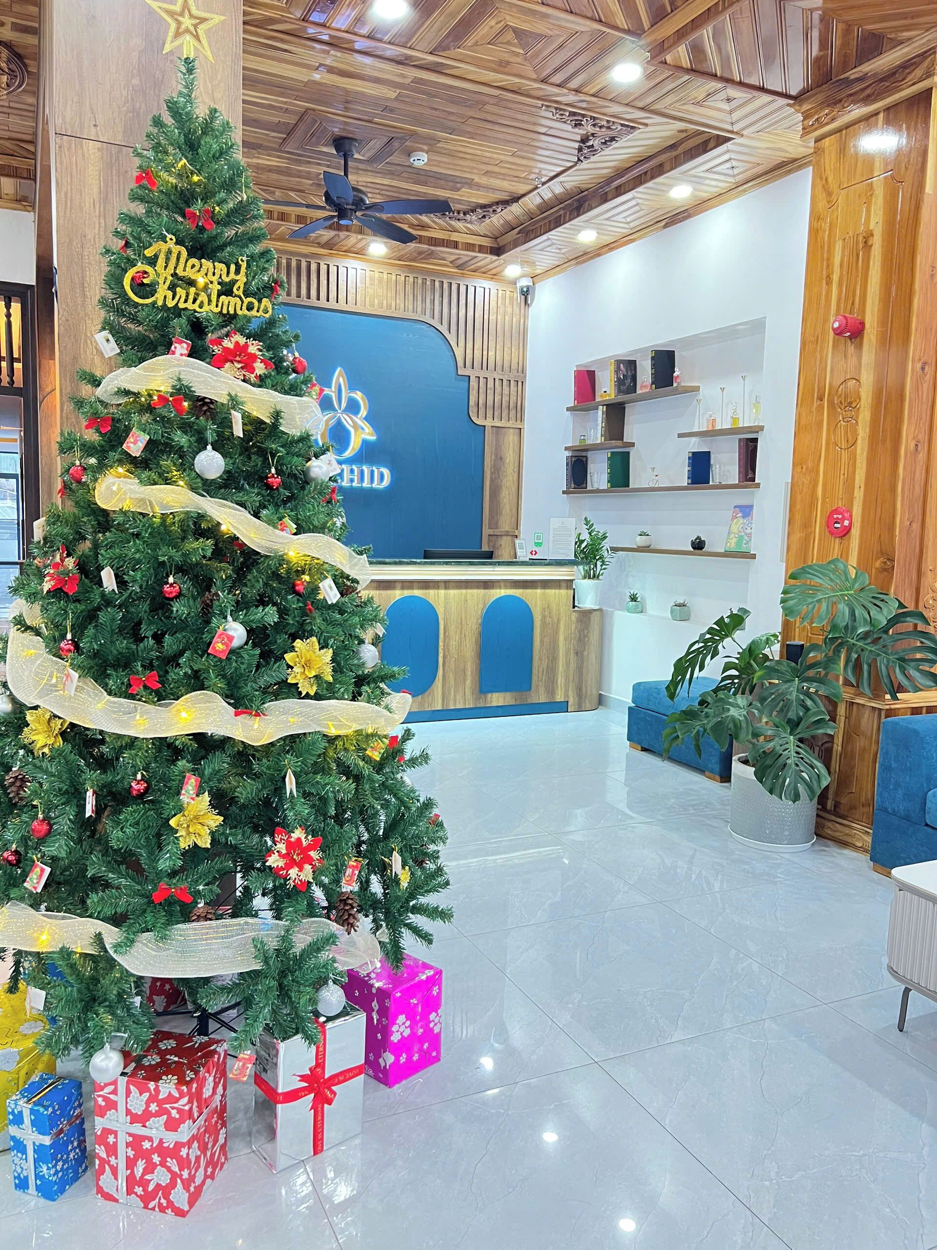 Een kerstboom met decoraties en een ster, omringd door cadeaudozen, in een hal met houten plafond en een receptiebalie.