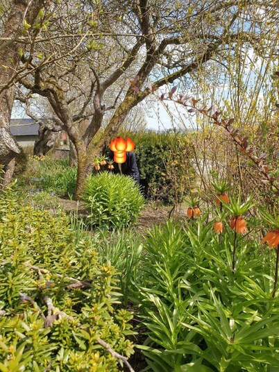 Spacious and Peaceful Semi-basement