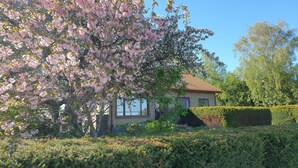 Unclassified image, 5 of 37, button - Spacious and Peaceful Semi-basement (Lund)