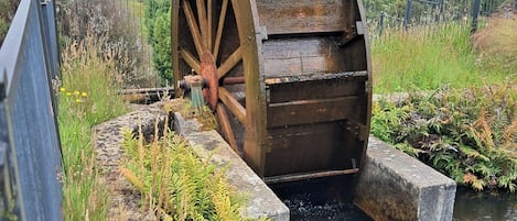 Enceinte de l’hébergement