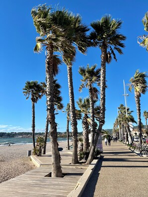 Um calçadão com altas palmeiras, uma passarela de madeira e uma praia sob um céu azul límpido.